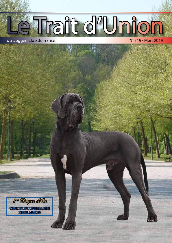 Couverture du Trait d'Union n° 319