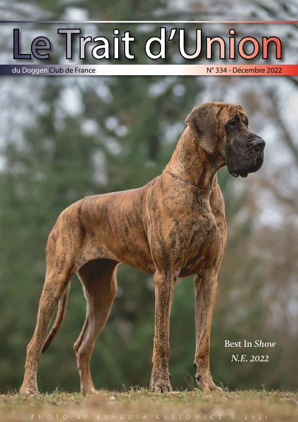 Couverture du Trait d'Union n° 334