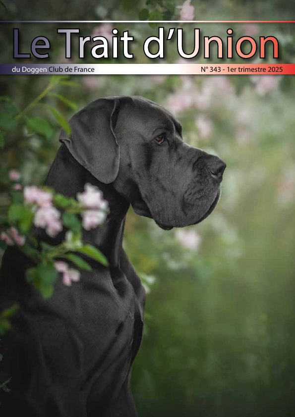 Couverture du Trait d'Union n° 343