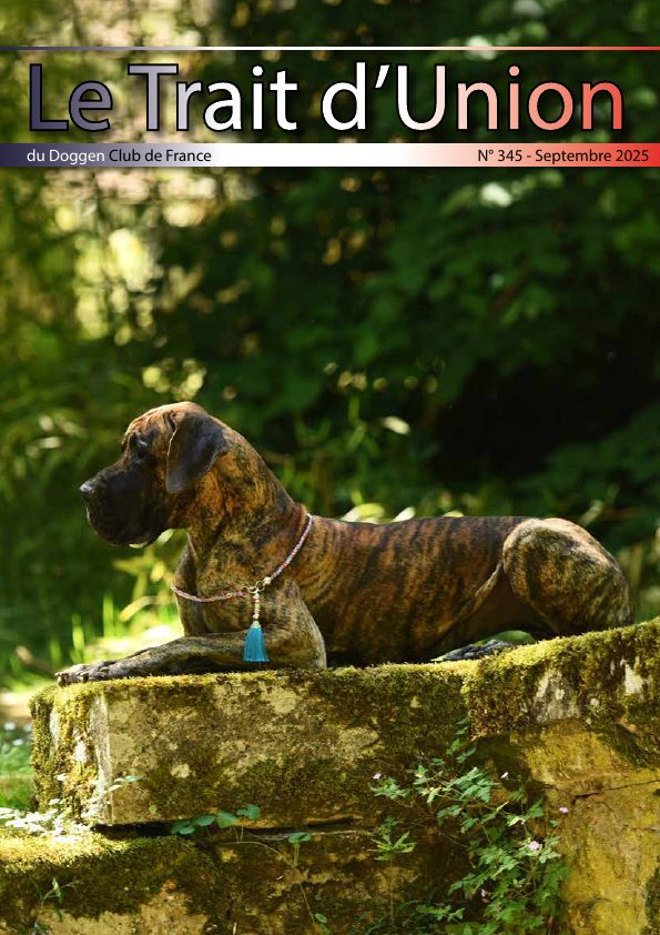 Couverture du Trait d'Union n° 345